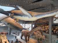 Shanghai natural history museum