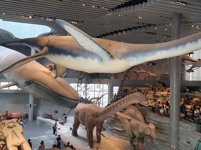 Shanghai natural history museum