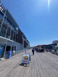 【伊豆下田】遊覧船にも乗れちゃう🚢道の駅で海鮮三昧