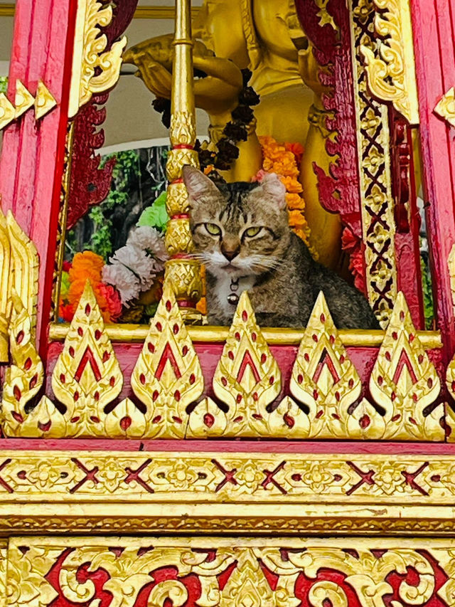 タイの魅力を感じに、次の旅は東南アジアへ！🌴✨