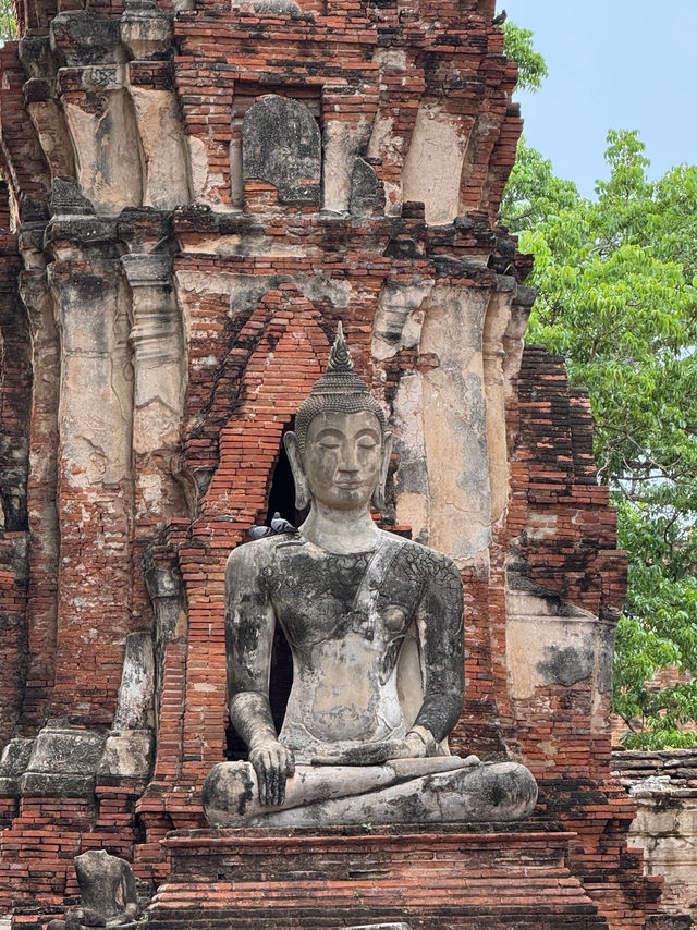 Wat Mahathat in Ayutthaya, Thailand 