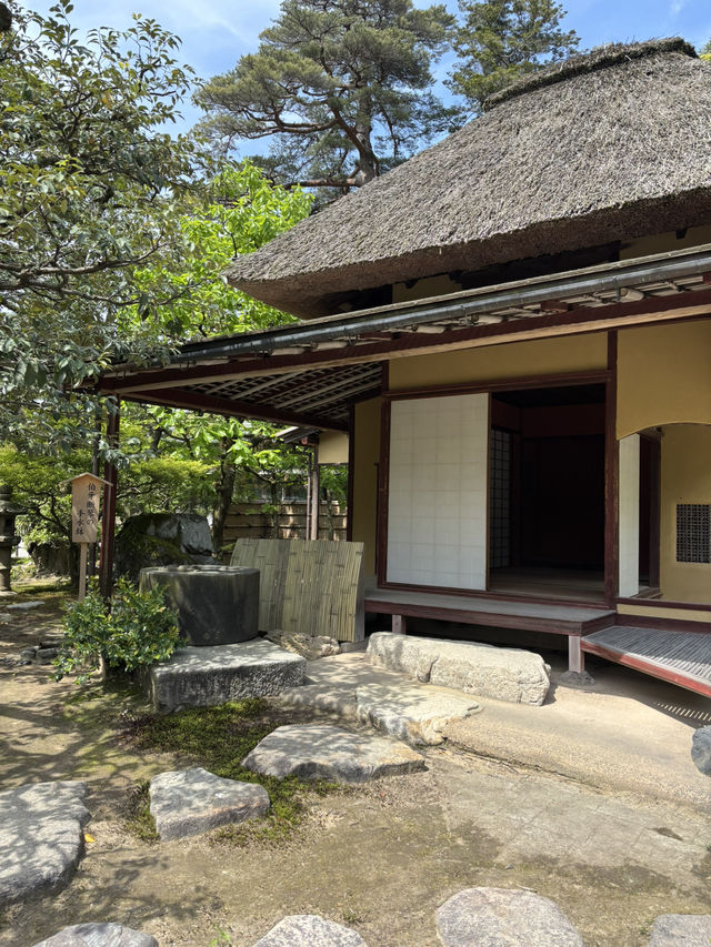 【石川県・金沢市】大庭園！兼六園🌲
