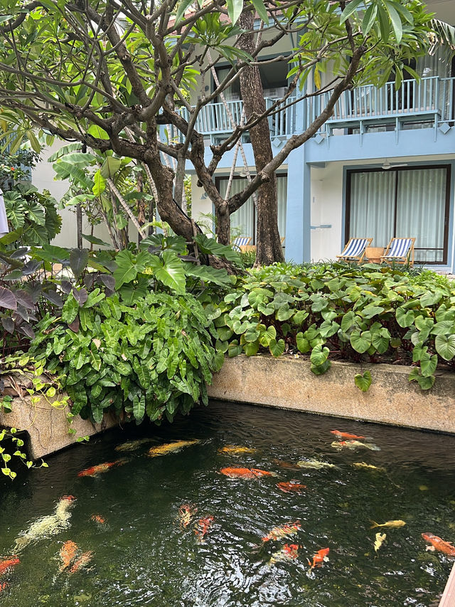 The Peri Hotel Hua Hin