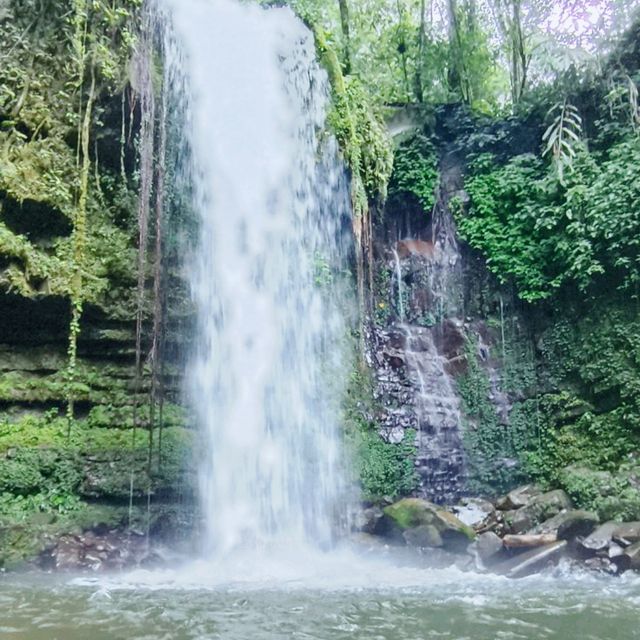 Breath deeply and connect with nature.