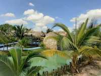 สวนพร้าวคาเฟ่ สตูล Coconut gardens restaurant