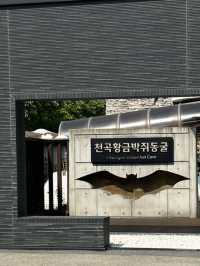 강원도 동해바다로 떠나요
