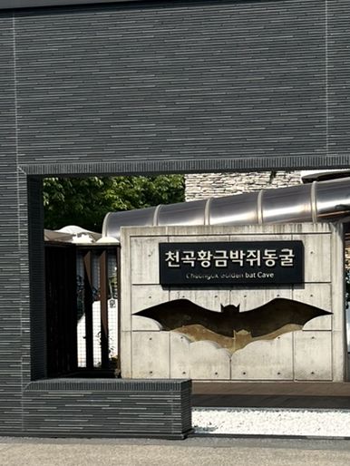 강원도 동해바다로 떠나요