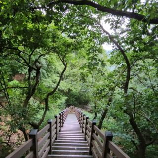 輕鬆健行、愜意氛圍與城市美景