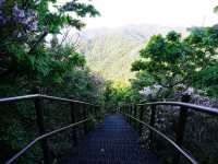 Cool Trails at Hyangjeokbong