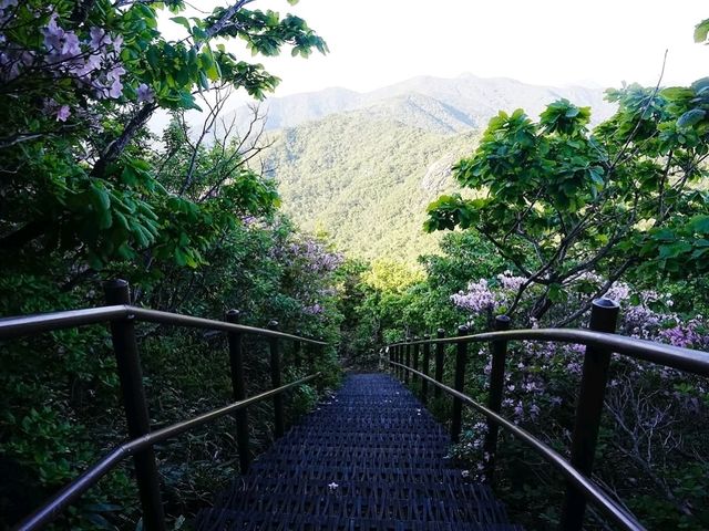 Cool Trails at Hyangjeokbong