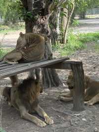 北碧府野生動物園