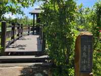 恍如仙境的台東森林公園琵琶湖