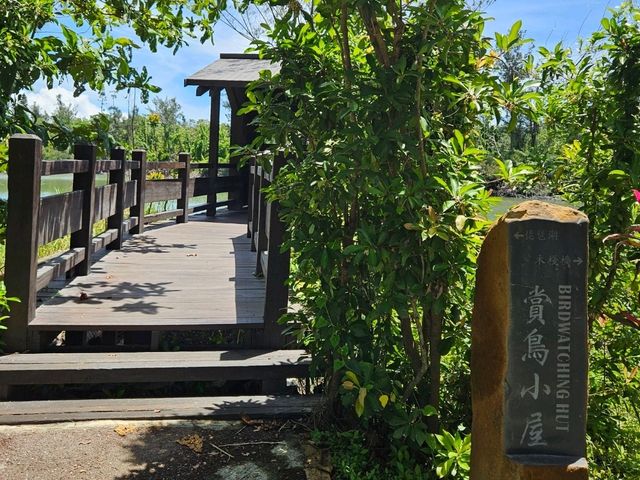 恍如仙境的台東森林公園琵琶湖