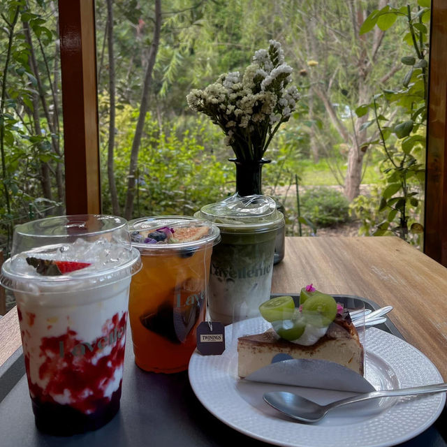 lavellenic cafe 🌳