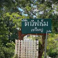 ตาวีฟาร์ม ฟาร์มผักออแกนิค🥦