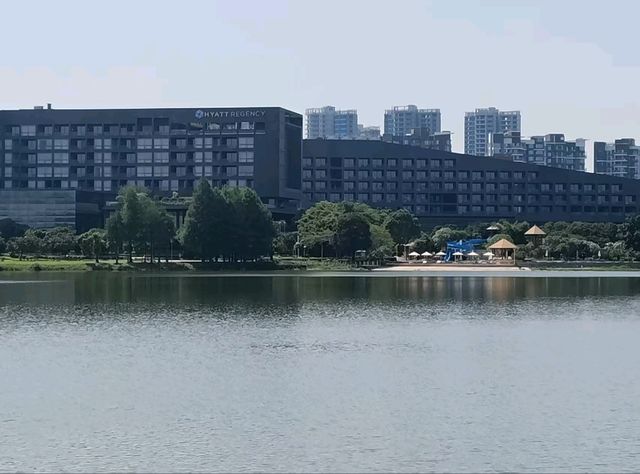 🏞️ 松山湖生態園區