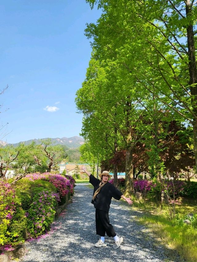 야외데이트하기 좋은 괴산 힐링여행지