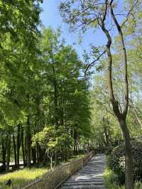 A Wetland Oasis by the River – Houtan Park, Shanghai