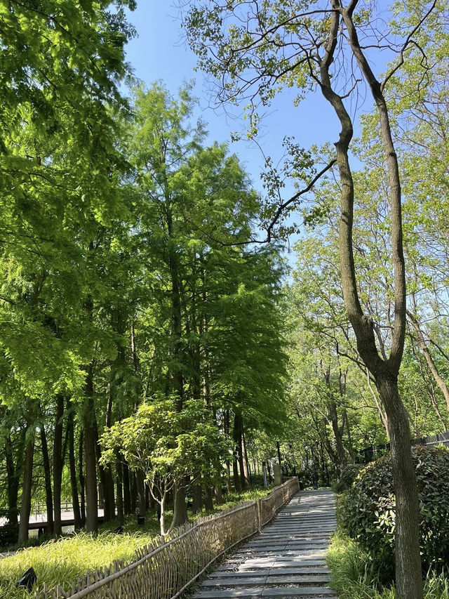 A Wetland Oasis by the River – Houtan Park, Shanghai