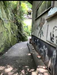 轉角遇到貓-在尾道貓咪小徑與貓貓不期而遇