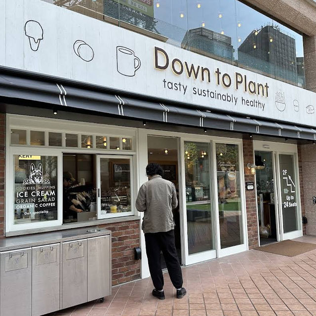 【東京/六本木🇯🇵】身体と地球に優しい食事🌎Down to Plant