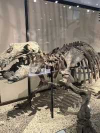 A Journey Through Time and Discovery – My Visit to the National Museum of Nature and Science, Tokyo