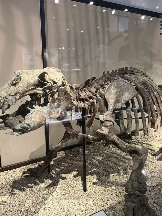 A Journey Through Time and Discovery – My Visit to the National Museum of Nature and Science, Tokyo