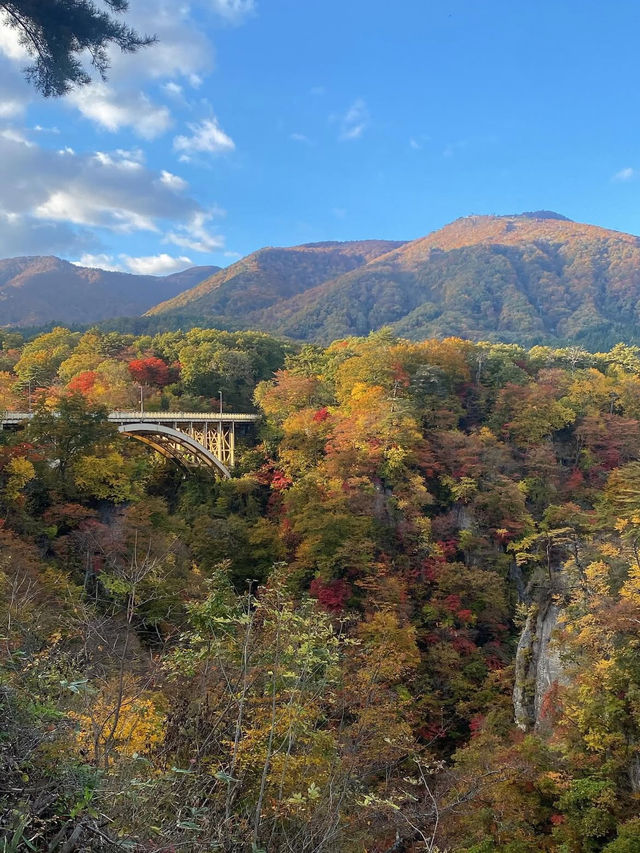 🍁【宮城・鳴子峡】紅葉のトンネルを歩く、秋だけの絶景ハイキング