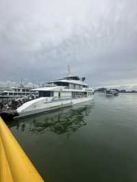 Summer Dreaming? Set Sail on a Halong Bay Cruise