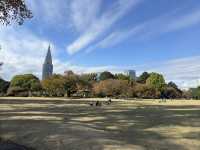 🌸 Serenity in the City: Morning Strolls & Scenic Sips at Shinjuku Gyoen 🌿