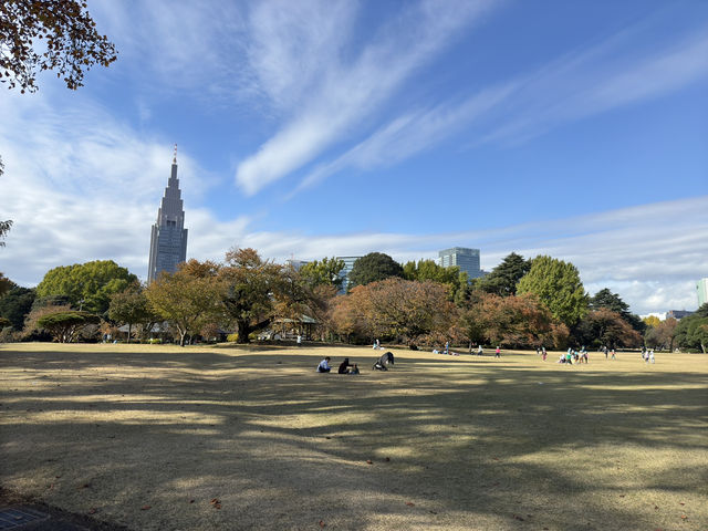 🌸 Serenity in the City: Morning Strolls & Scenic Sips at Shinjuku Gyoen 🌿