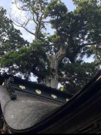 🦌【茨城・鹿嶋市 鹿島神宮】勝負運アップ＆旅立ちにおすすめの “関東最強パワースポット” 