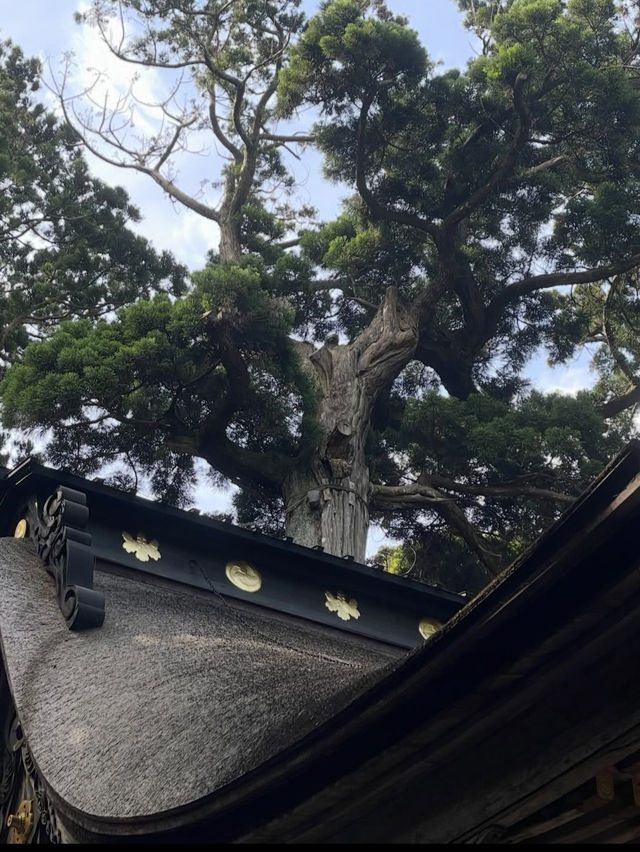 🦌【茨城・鹿嶋市 鹿島神宮】勝負運アップ＆旅立ちにおすすめの “関東最強パワースポット” 