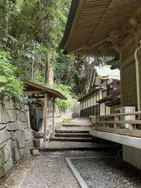 📍**【茨城・日立 泉神社（龍泉神社）】清泉と“龍の宿る木”が生むパワースポットで心を潤す旅**