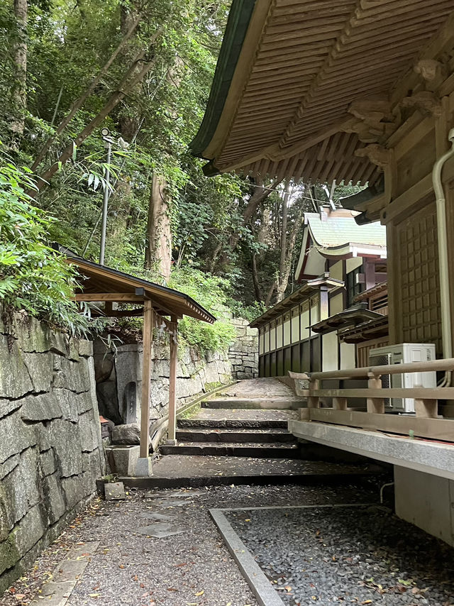 📍**【茨城・日立 泉神社（龍泉神社）】清泉と“龍の宿る木”が生むパワースポットで心を潤す旅**