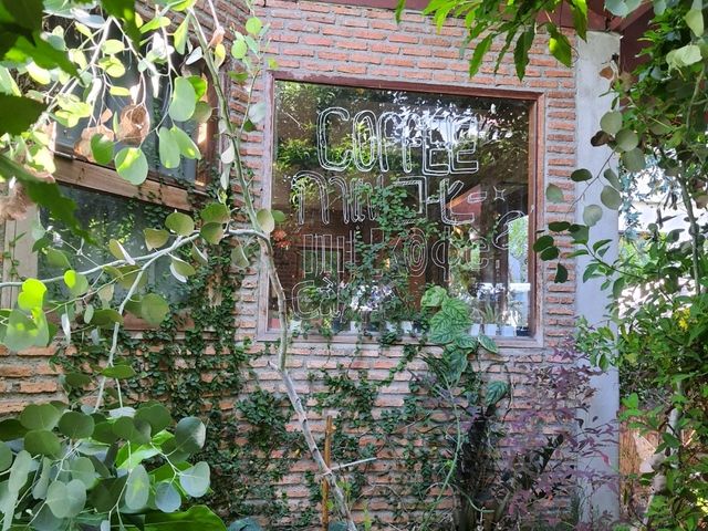 Shelterhood Brew & Chill บางนา ร้านลับที่ไม่ลับ