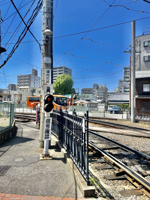 🚂 마쓰야마 도고온천에서 만난 시간여행 – ‘봇짱열차’ 탑승기