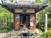 【東京都】 600年もの歴史を持つ浄土宗七大本山の1つ『増上寺』