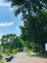 🚴‍♀️ 桃林鐵馬道：藏身虎頭山旁的森林單車路，一場綠意與時光的輕旅行
