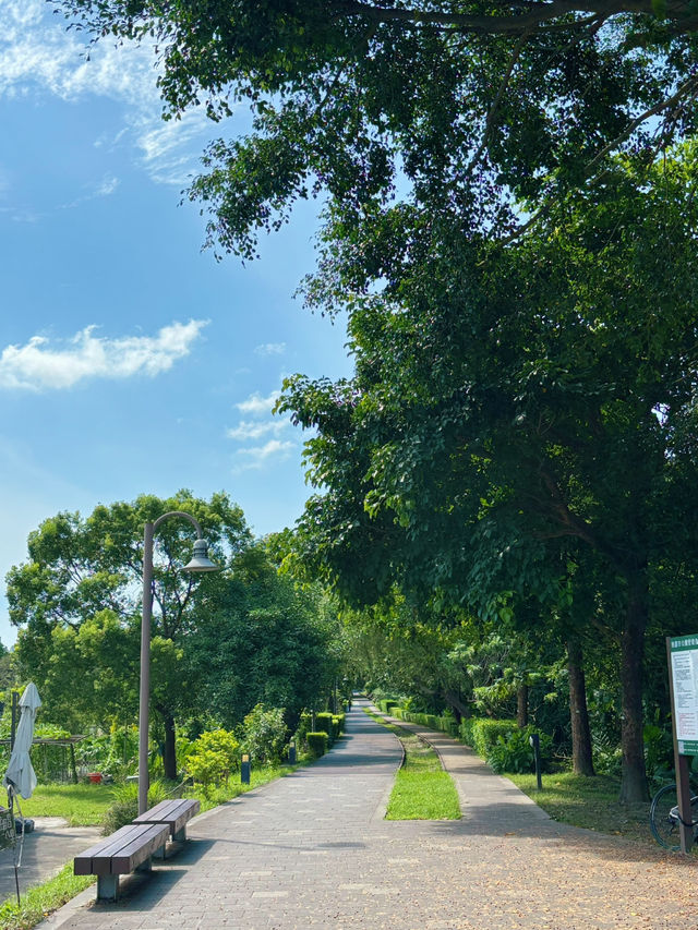 🚴‍♀️ 桃林鐵馬道：藏身虎頭山旁的森林單車路，一場綠意與時光的輕旅行