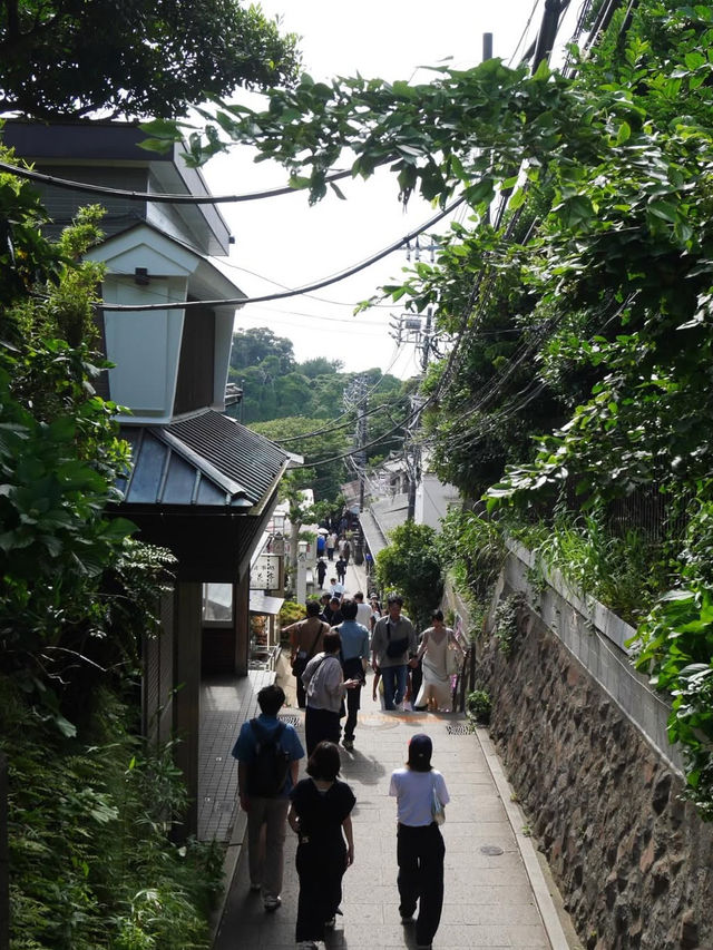 🌊海・神社・絶景がそろう「江の島」で、五感が満たされる旅を 