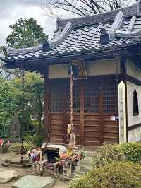 เที่ยวโอซาก้า🇯🇵