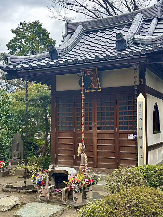 เที่ยวโอซาก้า🇯🇵