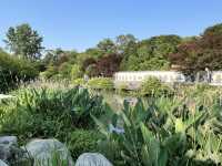 🌿 Huanhuaxi Park – A Calm Escape in the Heart of Chengdu