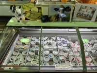 Family Fun and Fresh Milk at Rakunoh Mother’s Aso Milk Bokujo