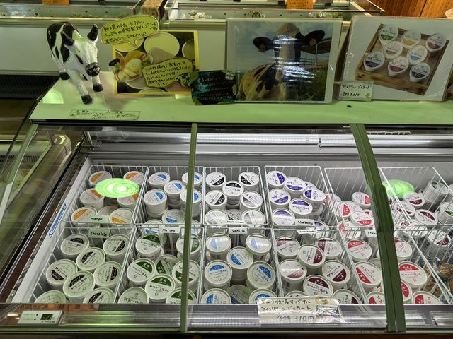 Family Fun and Fresh Milk at Rakunoh Mother’s Aso Milk Bokujo