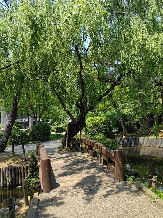 秋田免費景點～千秋公園
