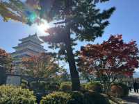 Shimabara Castle: A Hidden Gem of Samurai, Rebellion, and Tranquil Views