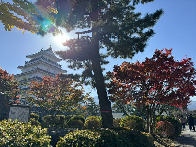 Shimabara Castle: A Hidden Gem of Samurai, Rebellion, and Tranquil Views