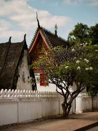 Peace & Poolside in Luang Prabang